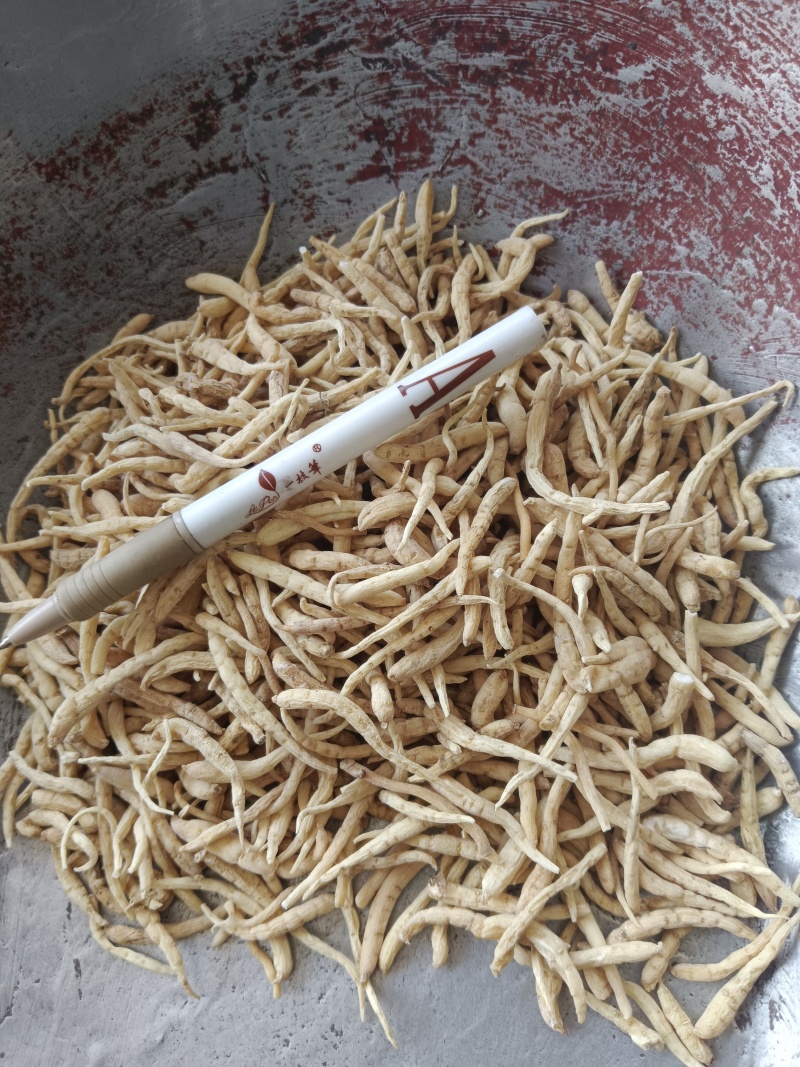 太子参娃儿参娃娃参，无硫实拍现货质量保证产地一手货源