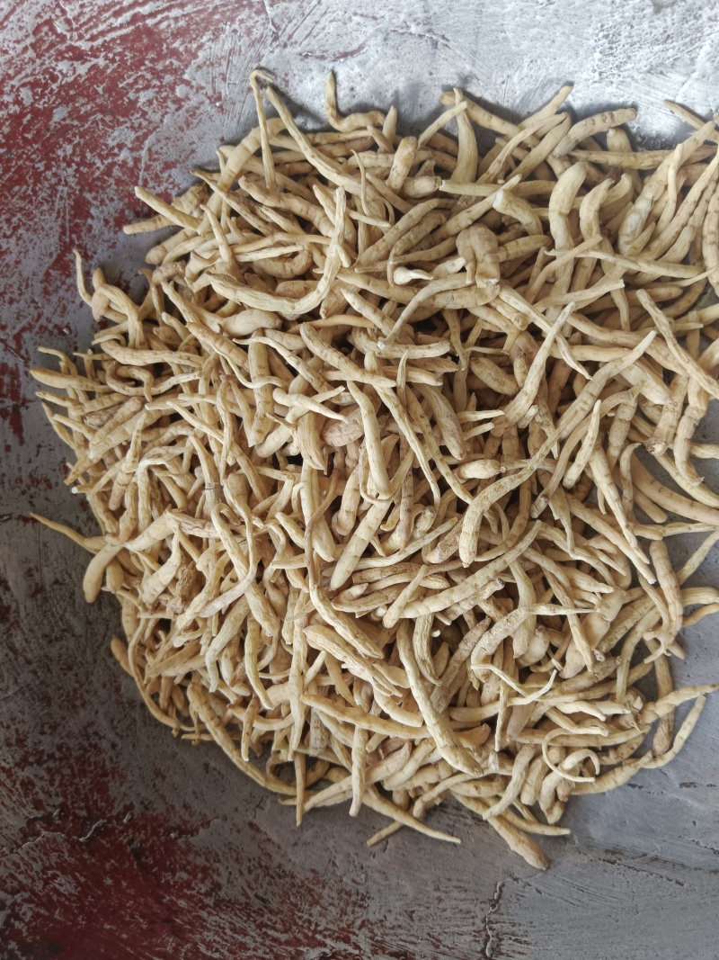 太子参娃儿参娃娃参，无硫实拍现货质量保证产地一手货源
