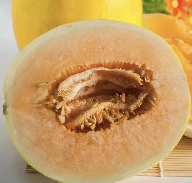 甘肃伊丽莎白甜瓜营养成分可视化信息图