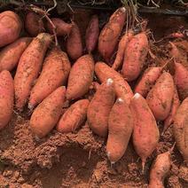 济26红薯，产地大量出货价格便宜，大量供应市场货电商货