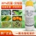 30%肟菌戊唑醇稻瘟病疫病黑斑病白粉病