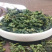 河南精品桑叶茶，自家茶园，一手货源，价格低品质好