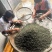 河南精品桑叶茶，自家茶园，一手货源，价格低品质好