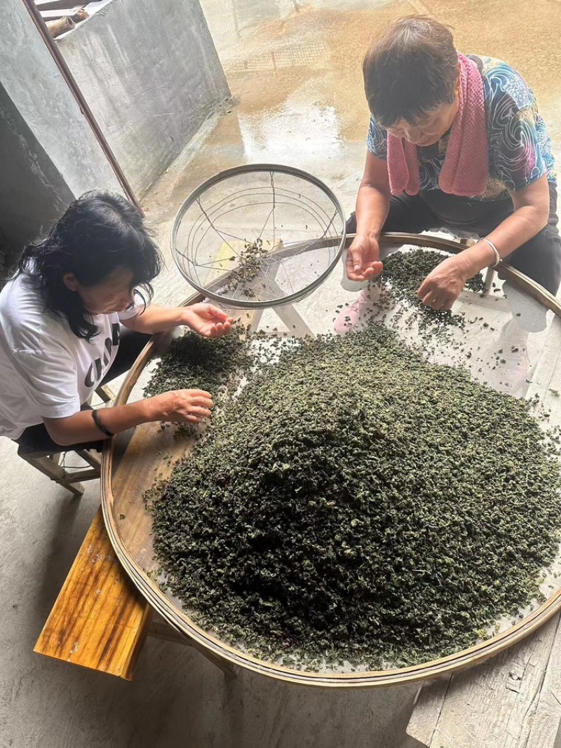 河南精品桑叶茶，自家茶园，一手货源，价格低品质好
