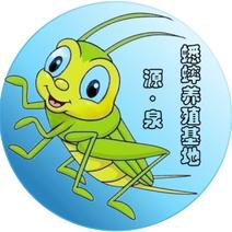蟋蟀干，冷冻蟋蟀河北沧州基地直供自家养殖质量保证