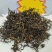 赶黄草叶古蔺本色赶黄草叶子手工赶黄草茶当季新货