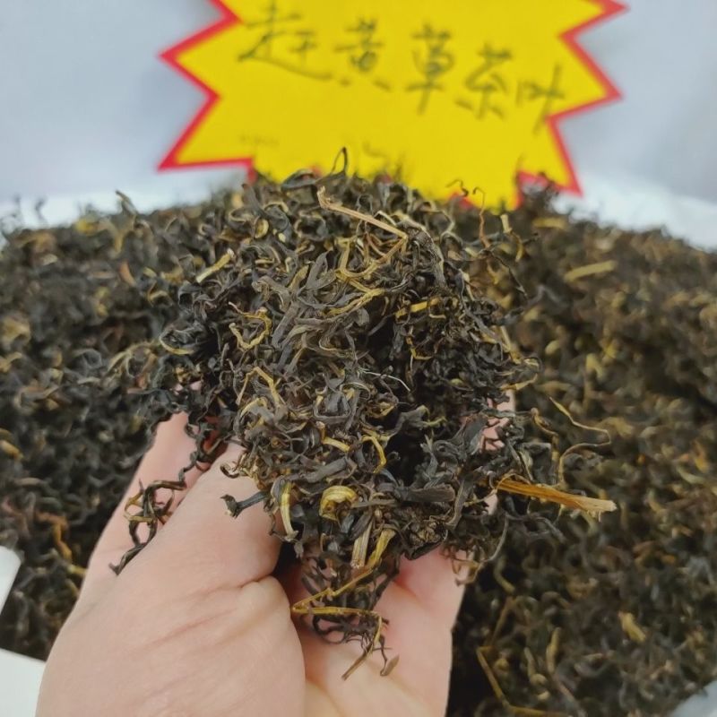赶黄草叶古蔺本色赶黄草叶子手工赶黄草茶当季新货