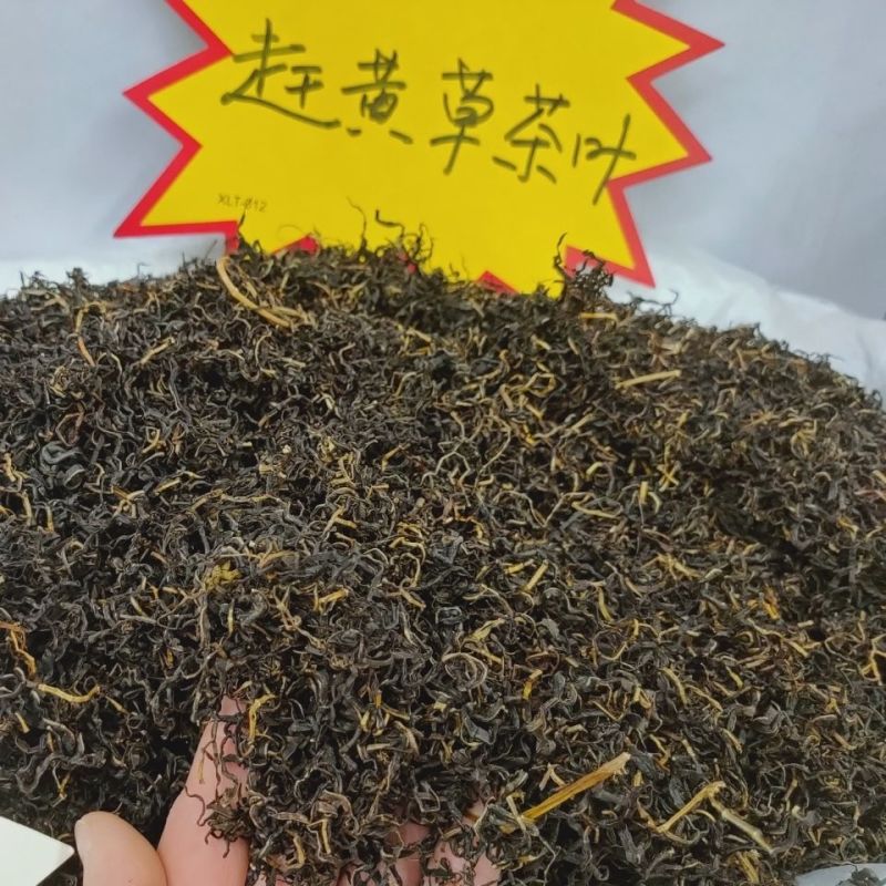 赶黄草叶古蔺本色赶黄草叶子手工赶黄草茶当季新货