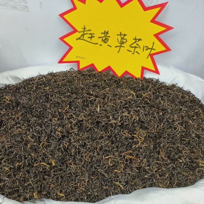 赶黄草叶古蔺本色赶黄草叶子手工赶黄草茶当季新货