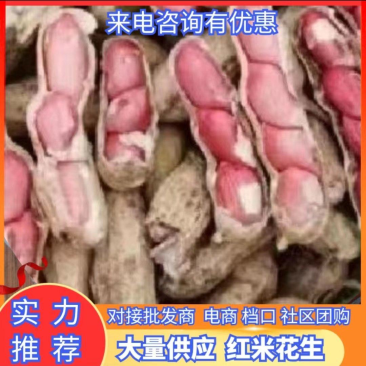 产地精品红米花生红白花生一手货源可视频看货