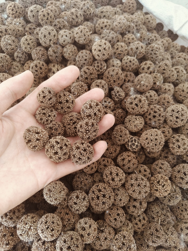 路路通。精品，含量充足