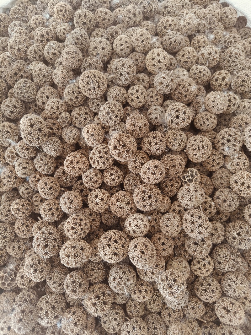 路路通。精品，含量充足