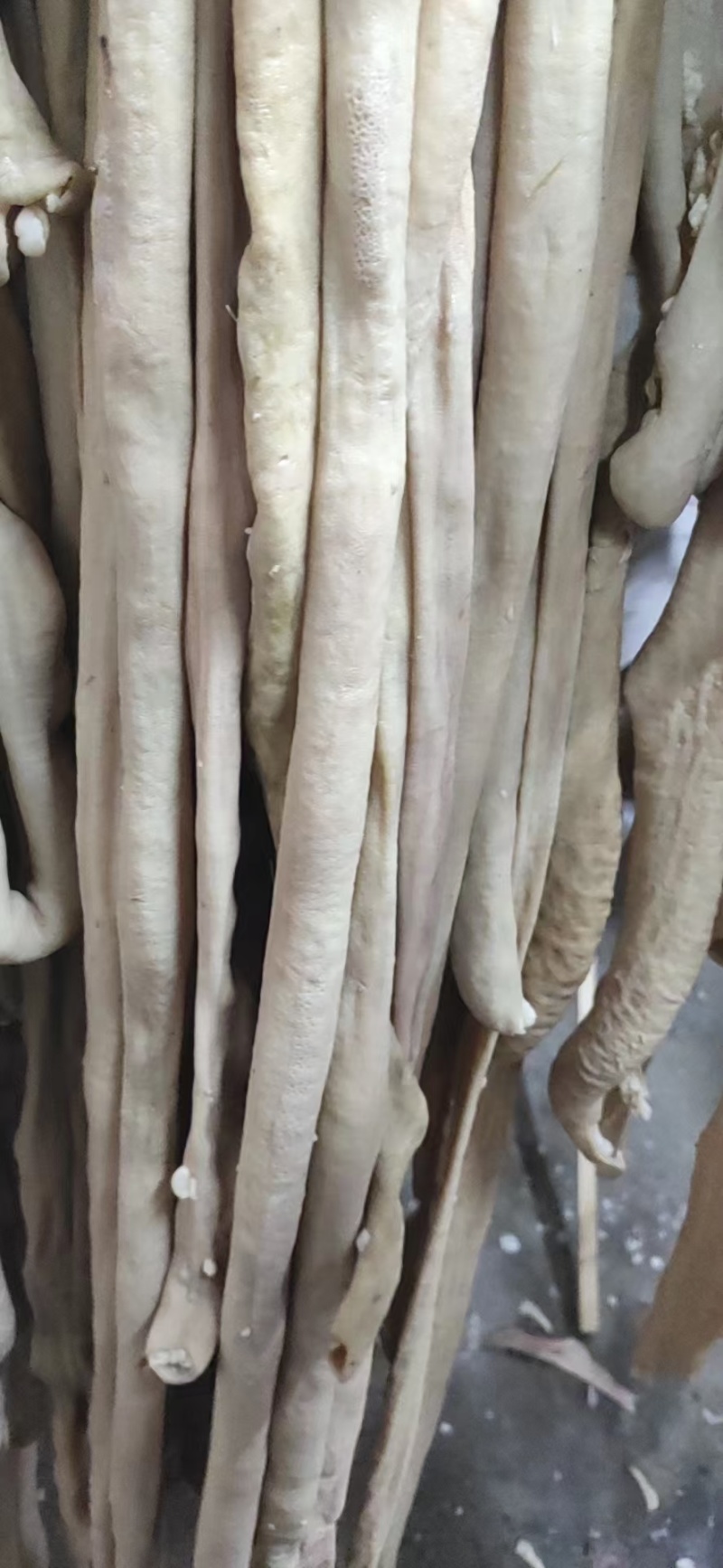 牛小肠，圆肠，半成品牛小肠，抛开去油，干净，出成高。