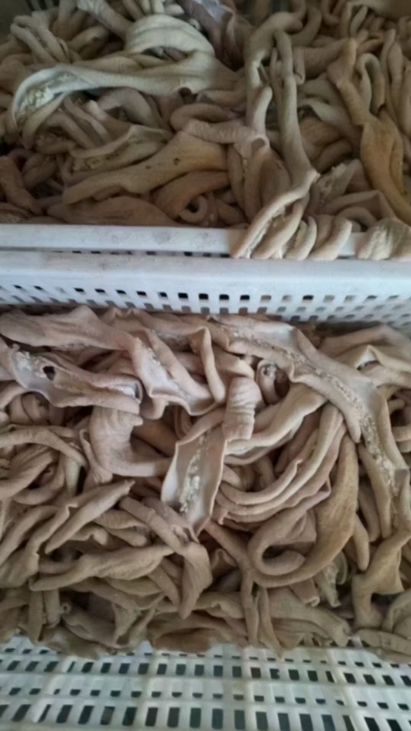 牛小肠，圆肠，半成品牛小肠，抛开去油，干净，出成高。
