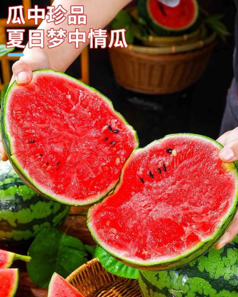 安徽甜王西瓜精品甜王皮薄肉厚专业运输不磕不碰