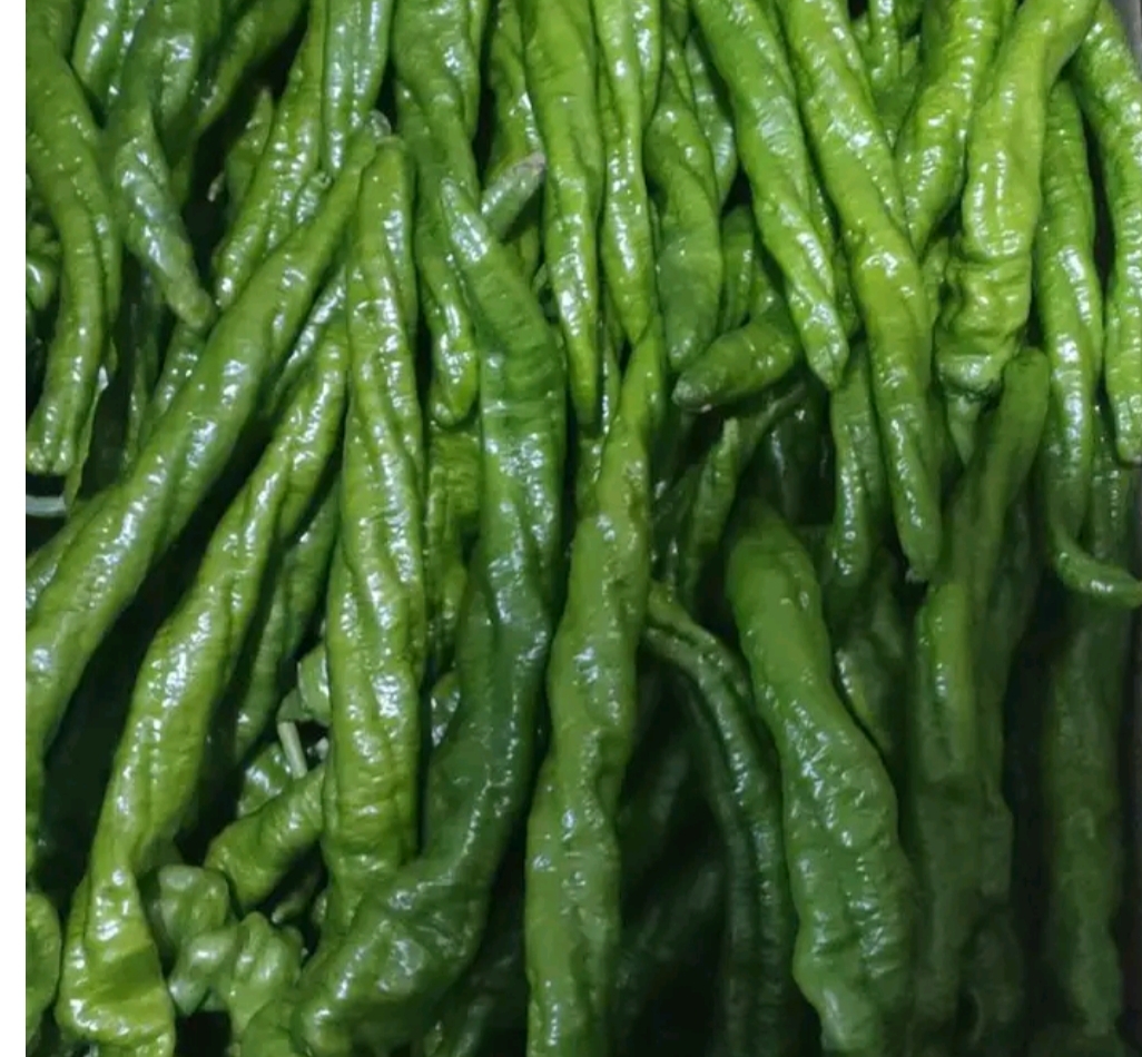 新鲜辣椒在厨房中烹饪的场景