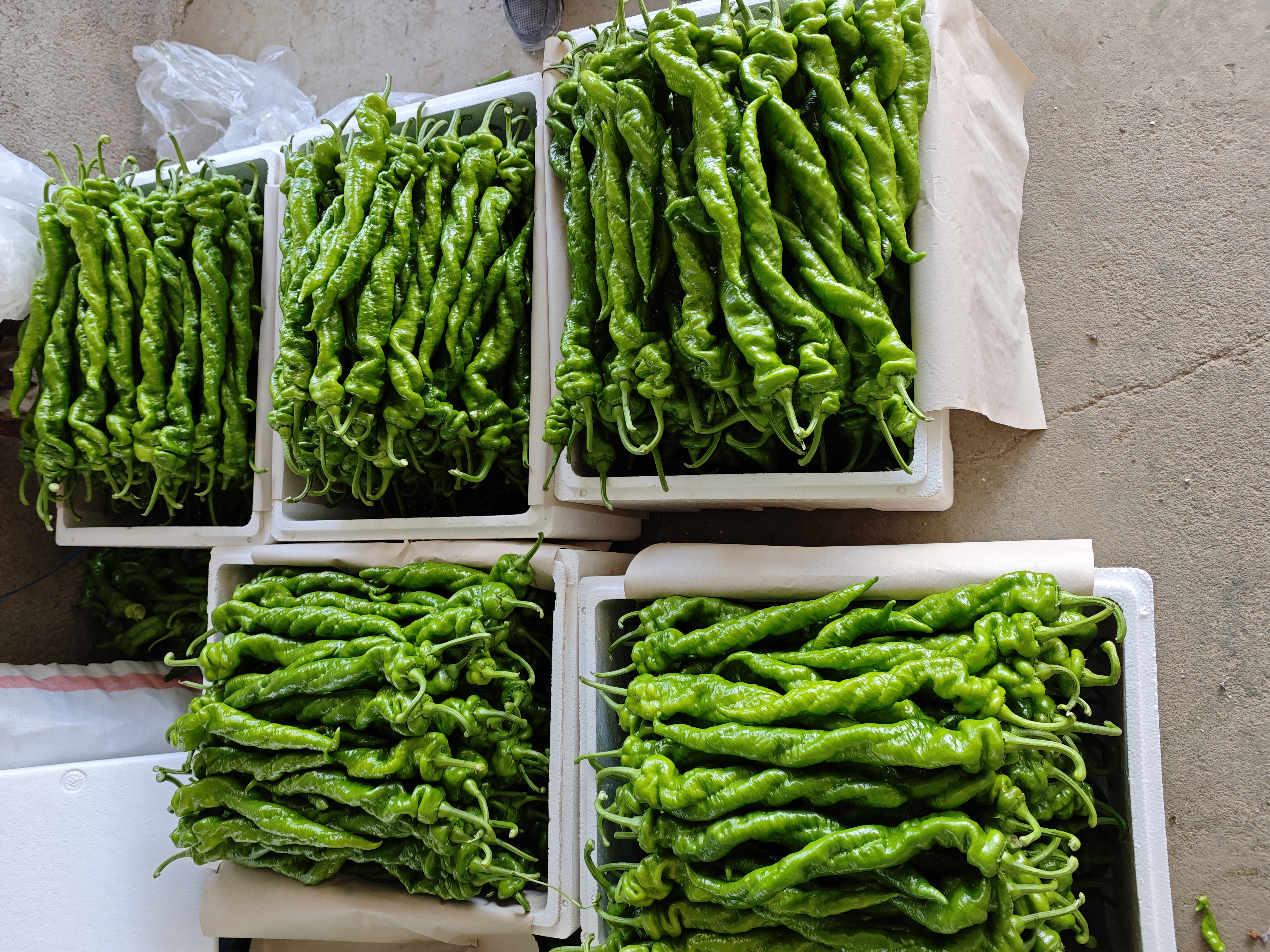 螺丝椒炒鸭食材准备图