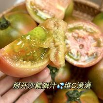 位置泰安宁阳巴夫宁阳示范园基地，日产5000斤柿子。