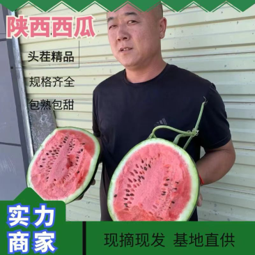 陕西渭南精品黑无籽西瓜皮薄瓤红头茬九成熟瓜形端正货量大