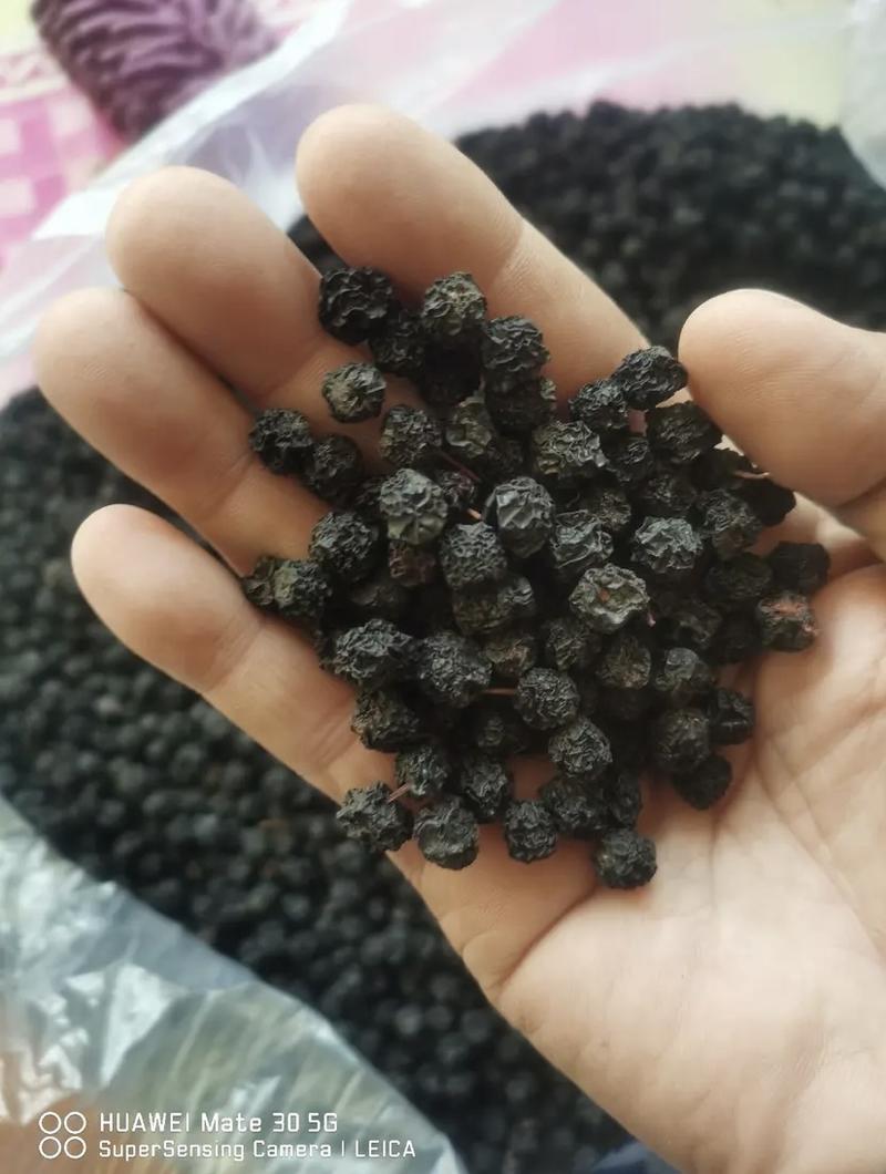 黑莓黑果腺肋花揪果不老莓优质干果，已烘干少量起批