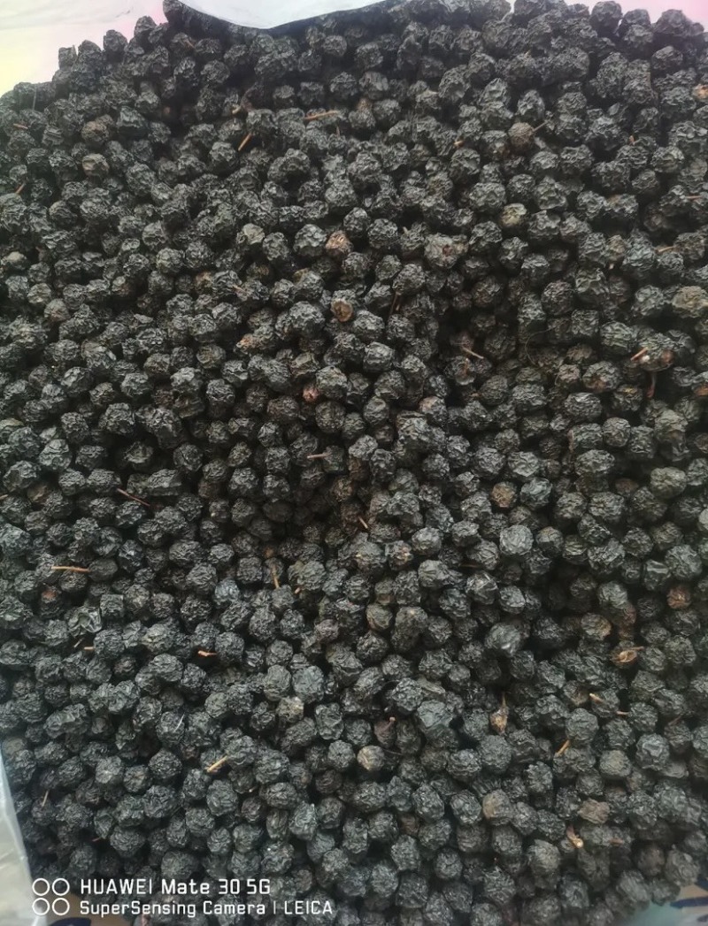 黑莓黑果腺肋花揪果不老莓优质干果，已烘干少量起批
