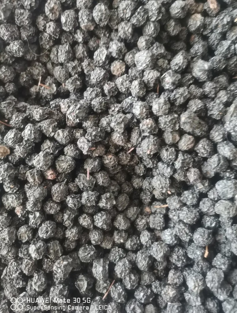 黑莓黑果腺肋花揪果不老莓优质干果，已烘干少量起批