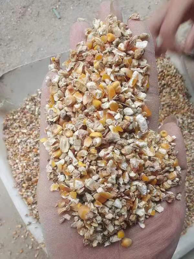 山东精品碎玉米，货量充足，规格齐全，可视频看货选货