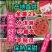 美都8424帅童无籽西瓜