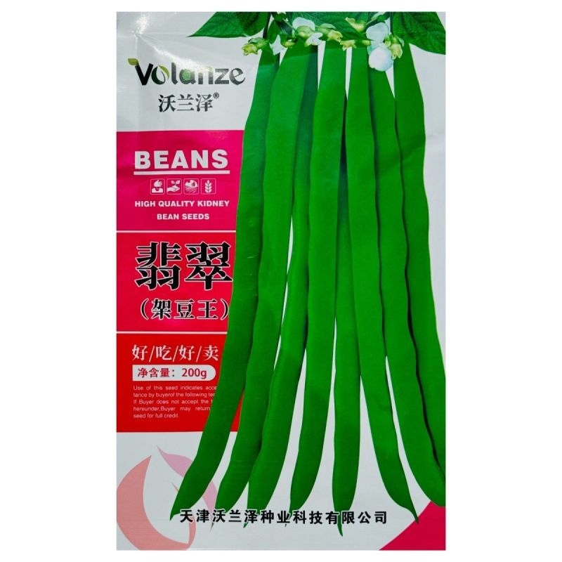 翡翠架豆王种子扁芸豆加长无筋豆四季豆架豆菜豆种籽早熟高产春秋