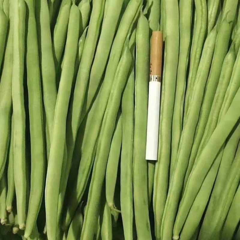 翡翠架豆王种子扁芸豆加长无筋豆四季豆架豆菜豆种籽早熟高产春秋
