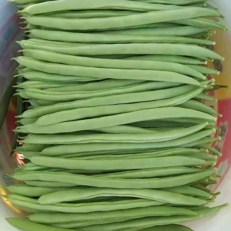 翡翠架豆王种子扁芸豆加长无筋豆四季豆架豆菜豆种籽早熟高产春秋