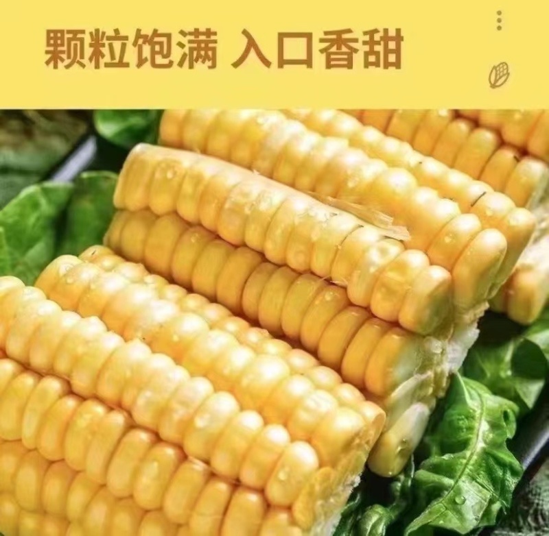 水果玉米
