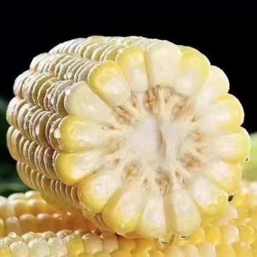 水果玉米