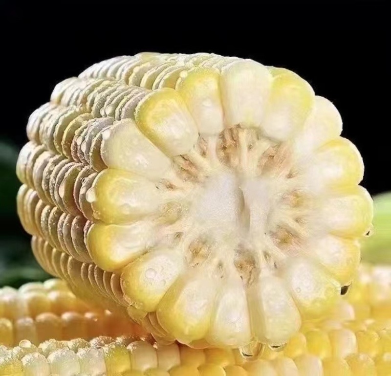水果玉米