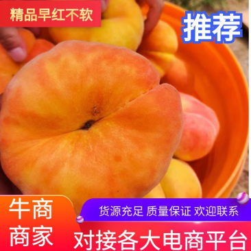 河南精品红不软桃子自家桃园新鲜脆桃水果开园上市