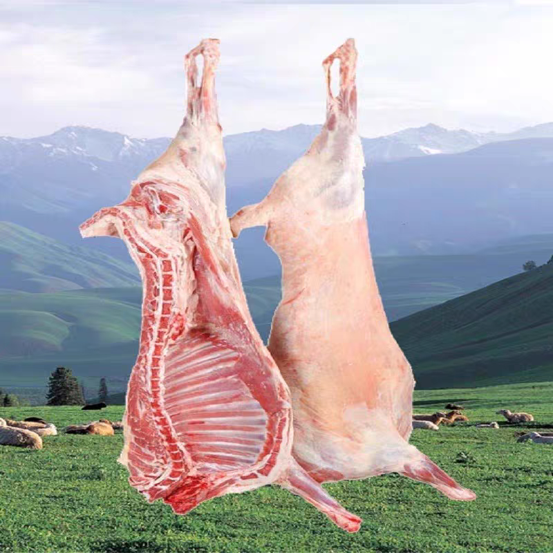 内蒙白条羊烤全羊产地直发货源充足可发鲜肉可发冻肉