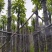 截杆香樟5～15公分基地直销规格齐全欢迎老板来电咨询