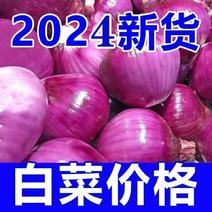 2024新鲜河南洋葱紫皮价格便宜紫皮洋葱3/5/9斤