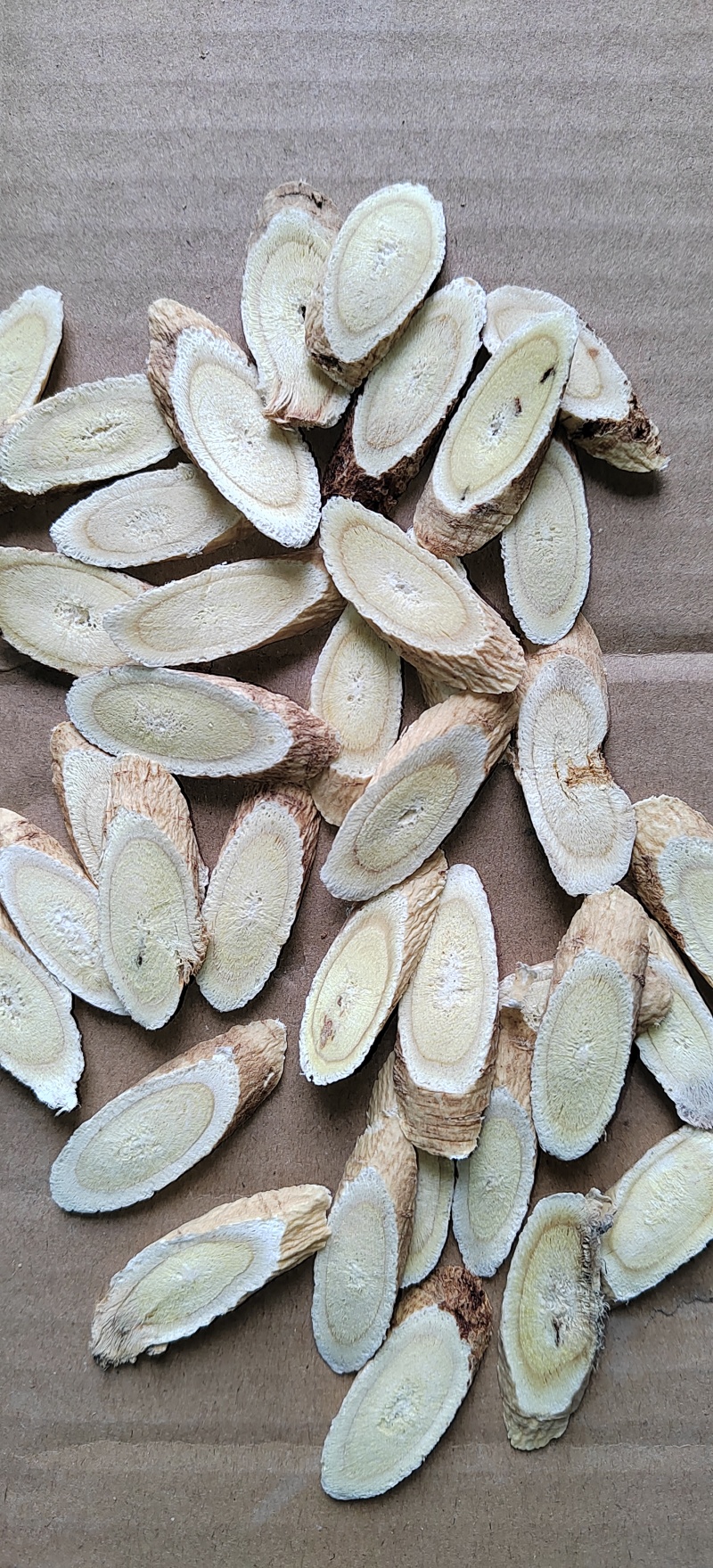 黄芪指甲片北芪指甲片0.8-1cm精选活动包邮