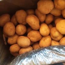 山东新土豆一手货源保质保量，量大货好，质量优，价格优。