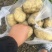 黄心土豆精品土豆个头均匀人工挑选，大量供应出口，电商，