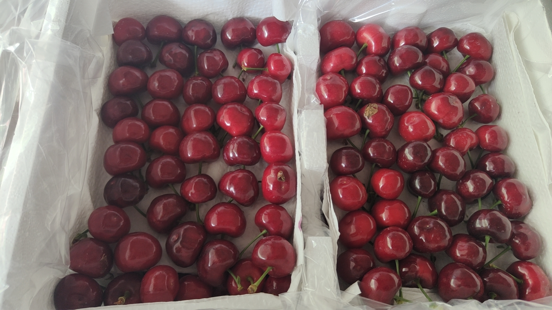 车厘子与橙子拼盘