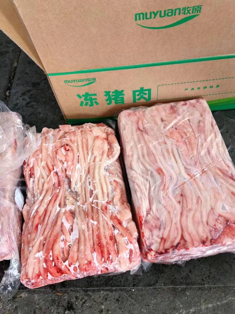 猪鞭去油猪鞭冷冻猪弟烧烤商用食材欢迎电话联系