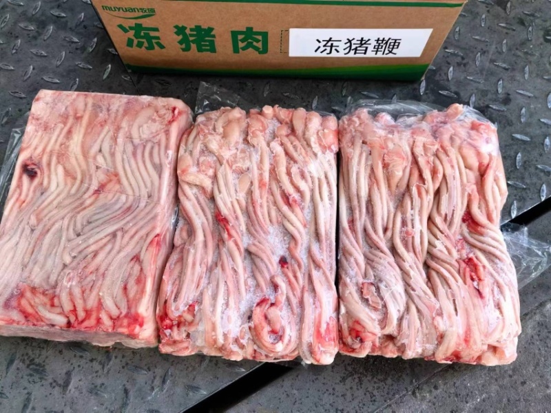 猪鞭去油猪鞭冷冻猪弟烧烤商用食材欢迎电话联系