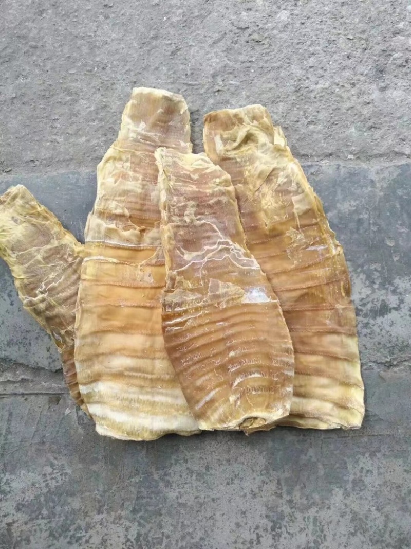 福建永安碳烤笋干专业生产车间货源足规格全按需配货