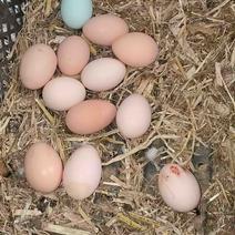 孟包山散养鸡蛋