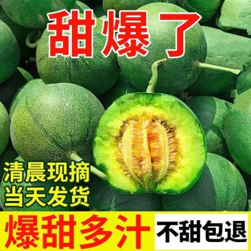 〔实力〕绿宝石甜瓜大量上市对接电商市场商超一条龙服务可代