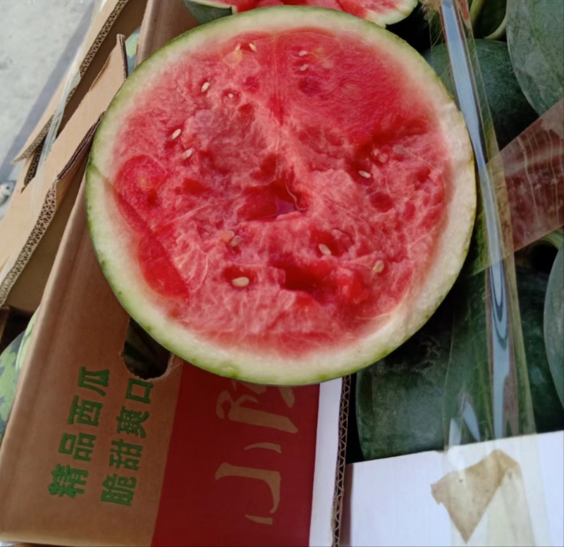 西瓜麒麟西瓜蜜瞳西瓜墨童西瓜欢迎致电联系