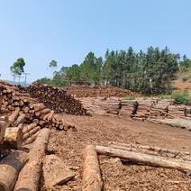 思茅松原木，锯材（建筑木方），2米，3米，4米，规格可定