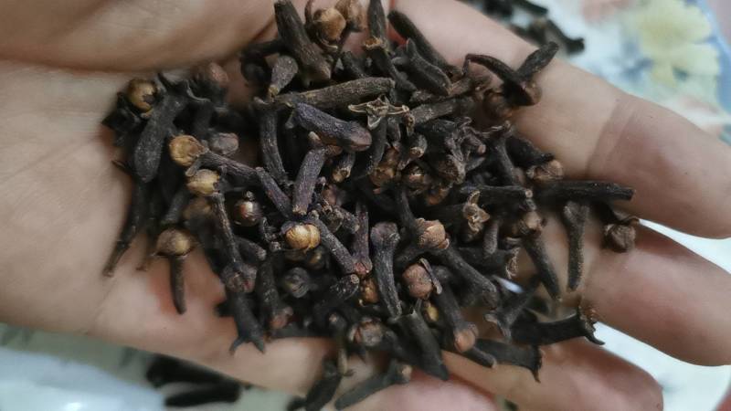 进口丁香香料特级公丁香大红丁香川菜调料炖肉卤菜钓鱼香粉